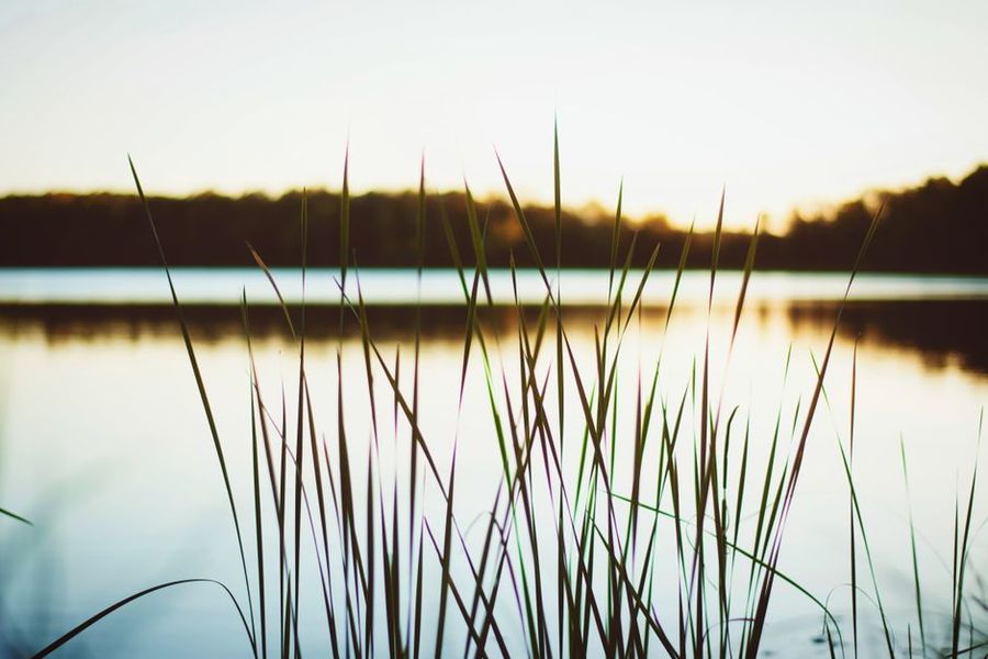 تصویر مرتبط با موضوع مقاله