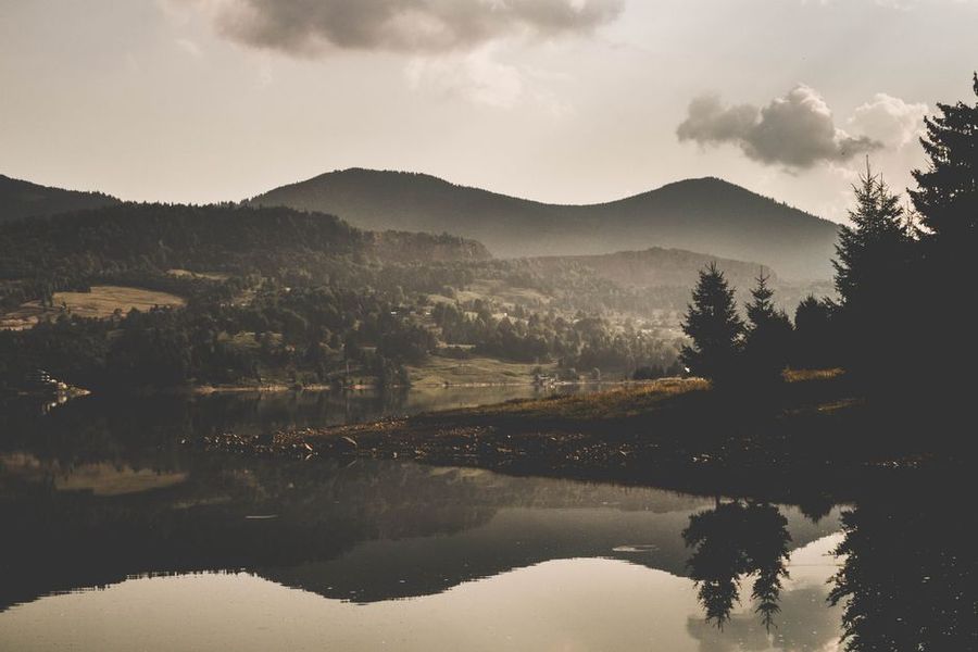 تصویر مرتبط با موضوع مقاله