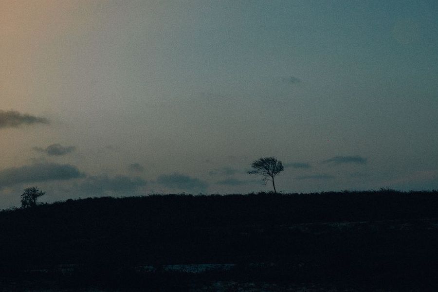 تصویر مرتبط با موضوع مقاله