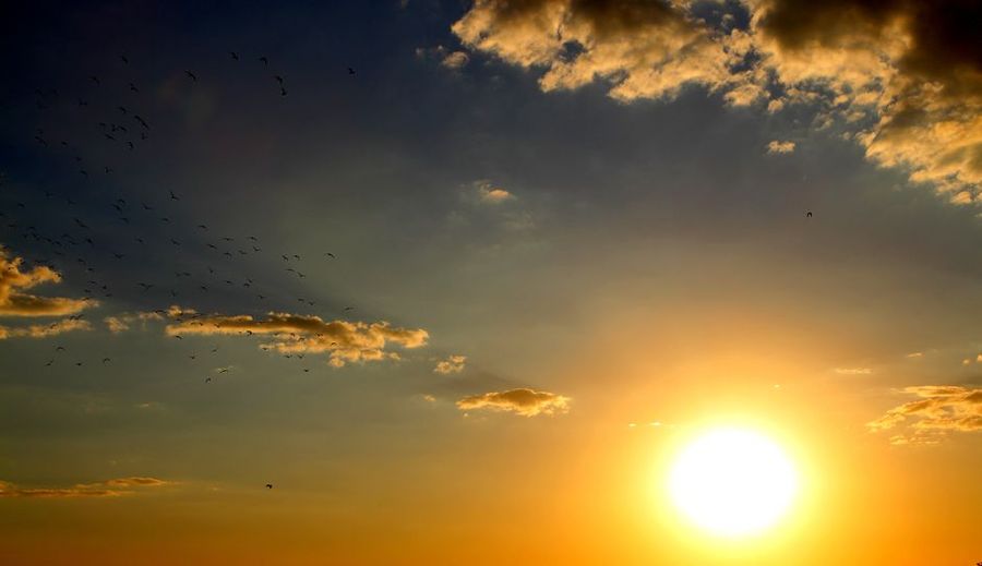 تصویر مرتبط با موضوع مقاله