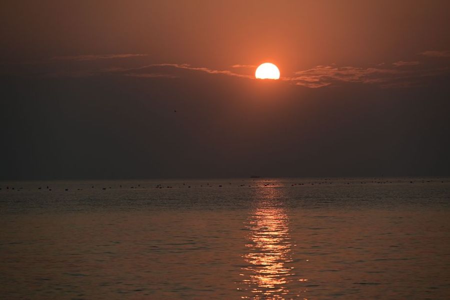 تصویر مرتبط با موضوع مقاله