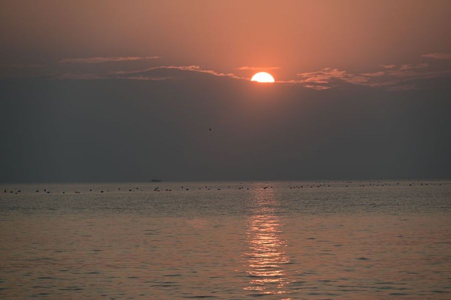 تصویر مرتبط با موضوع مقاله