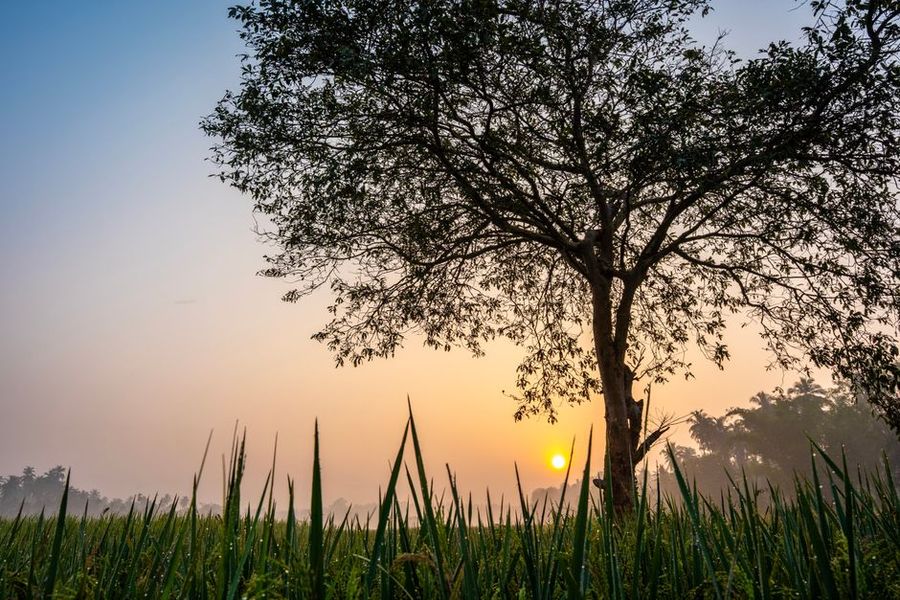 تصویر مرتبط با موضوع مقاله