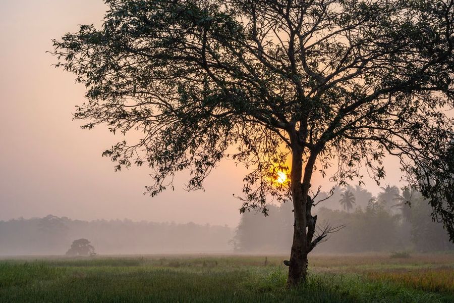 تصویر مرتبط با موضوع مقاله