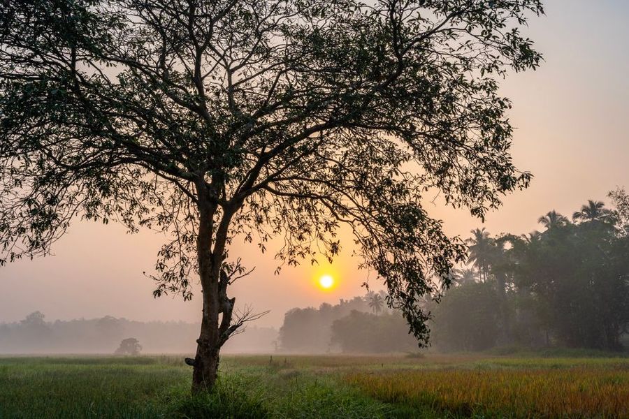 تصویر مرتبط با موضوع مقاله