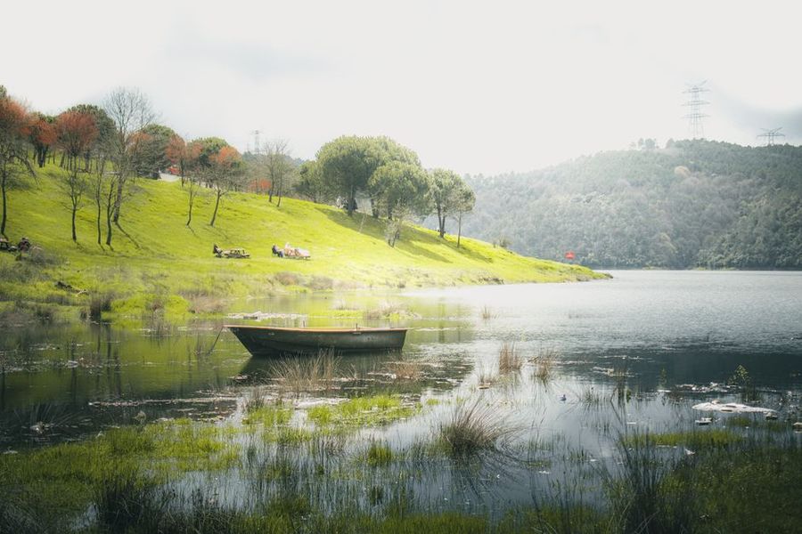 تصویر مرتبط با موضوع مقاله