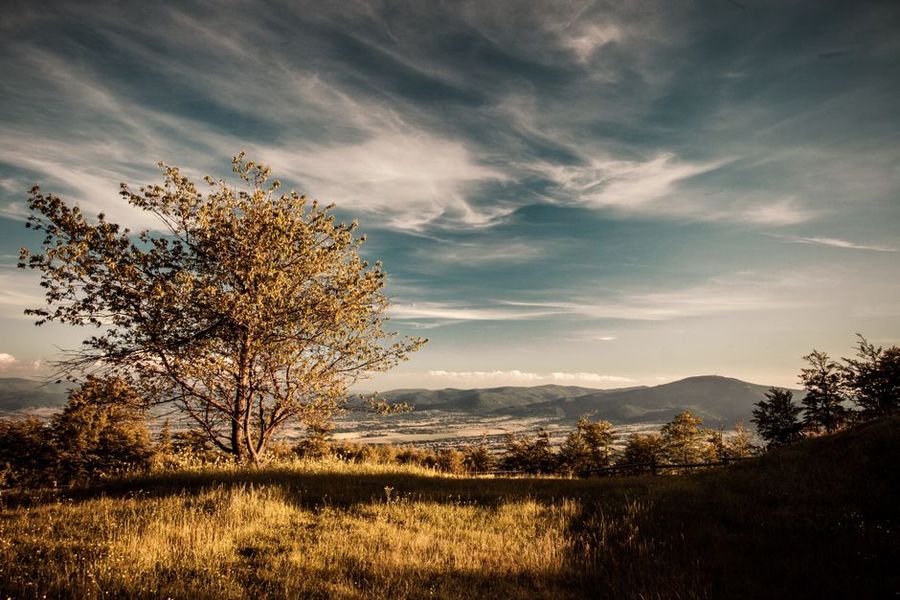 تصویر مرتبط با موضوع مقاله