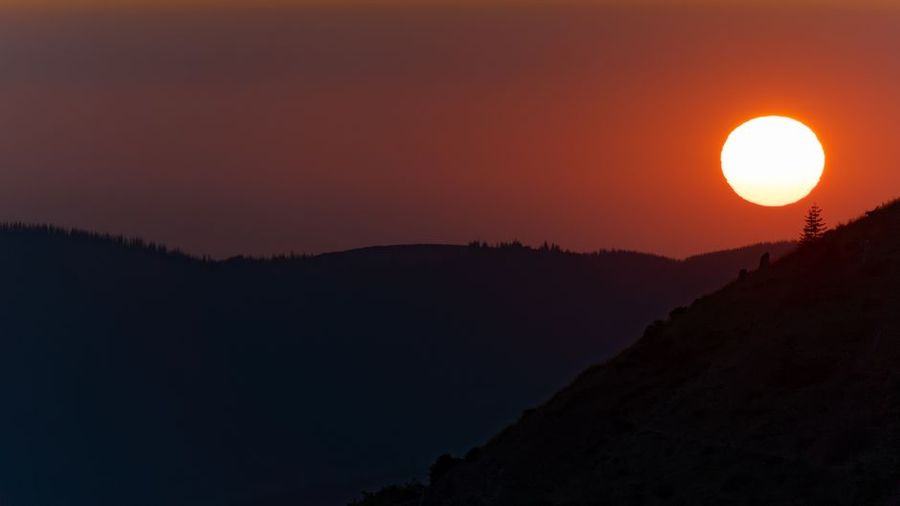 تصویر مرتبط با موضوع مقاله