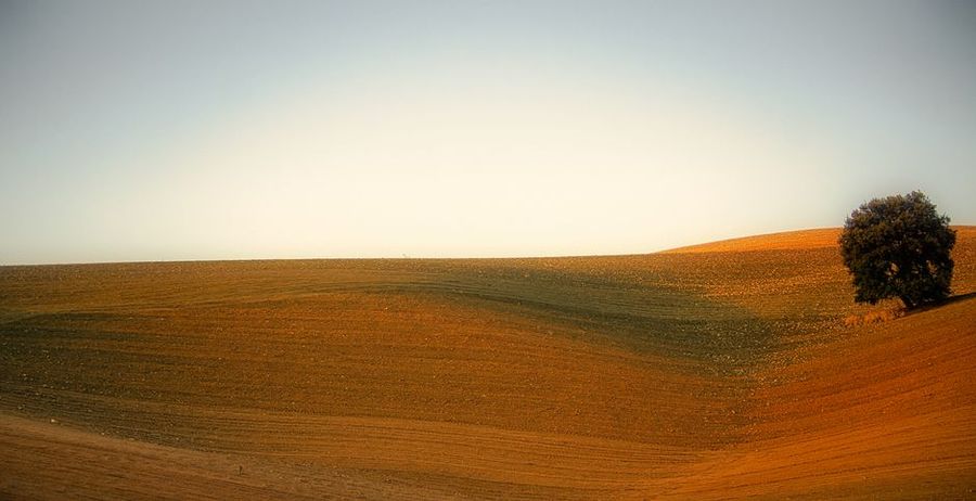 تصویر مرتبط با موضوع مقاله