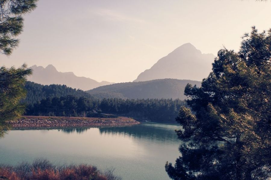 تصویر مرتبط با موضوع مقاله
