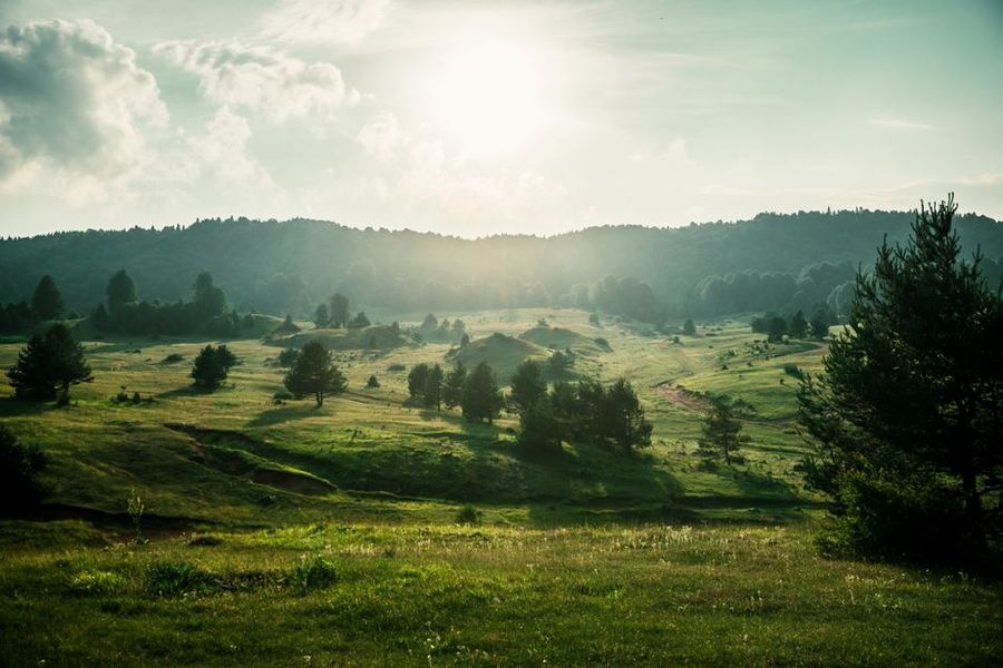 تصویر مرتبط با موضوع مقاله