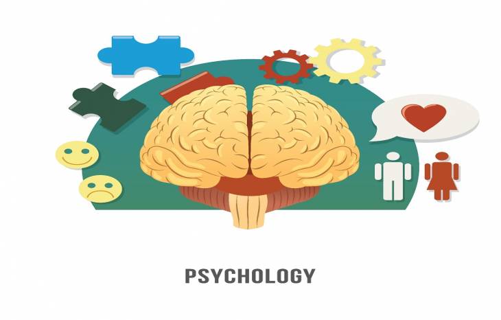 شغل روانشناسی را بیشتر بشناسید | شاخه های علم روانشناسی
